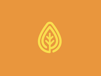 Leaf + Droplet Icon branding design icon identity illustration logo logo design