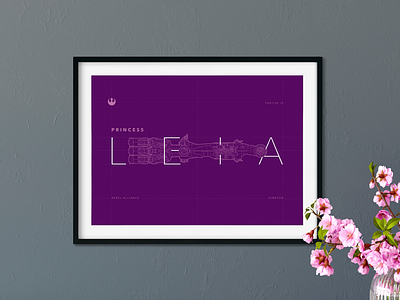 Princess Leia Schematic Design