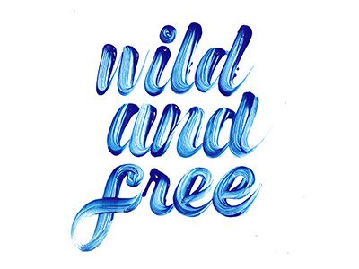 Wild And Free dry paint raw