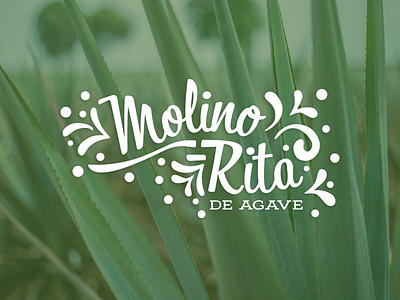 Molino-Rira one color branding design illustration logo margarita typography vector