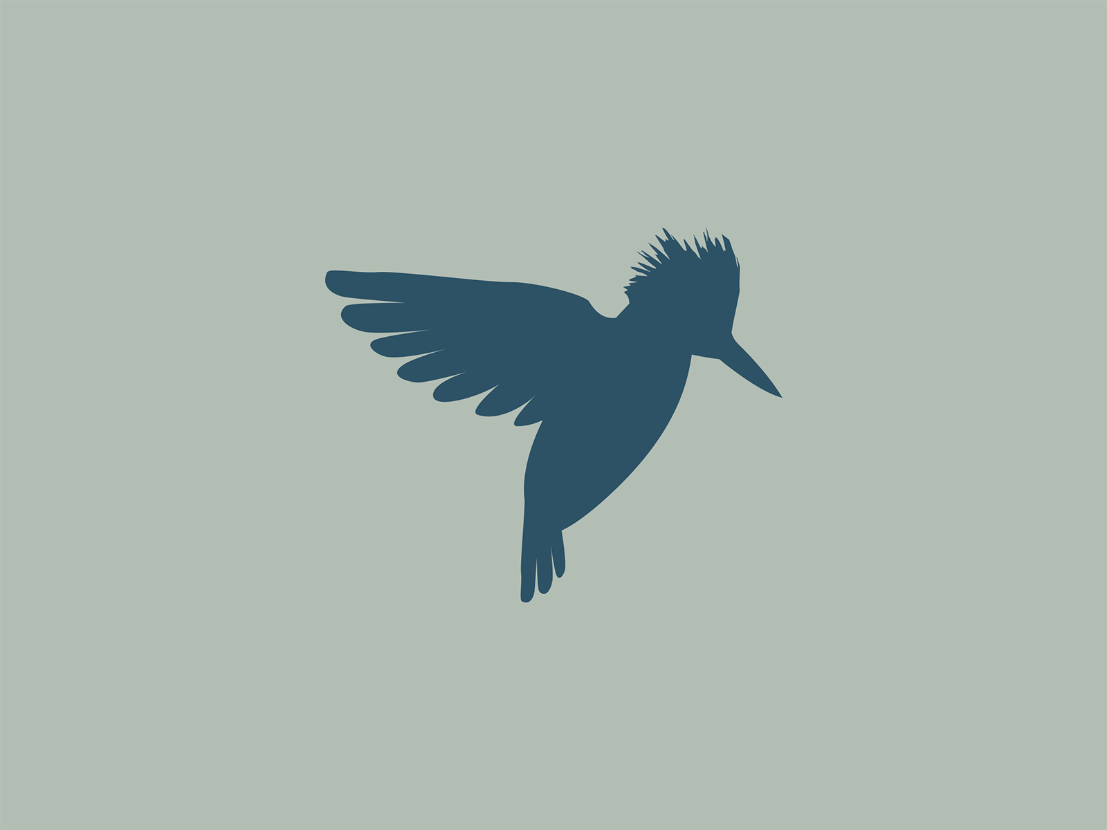 More Kingfisher Exploration branding design digital graphic design icon illustration logo mark storytelling vector