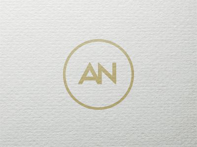 Amy Nicole Photography Seal branding logo