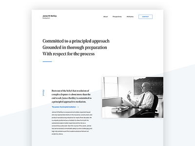 Mediation Website landing page website