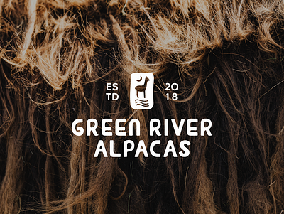 Green River Alpacas Main Logo alpaca alpacas branding farm branding farm logo graphic design logo modern branding ranch logo utah