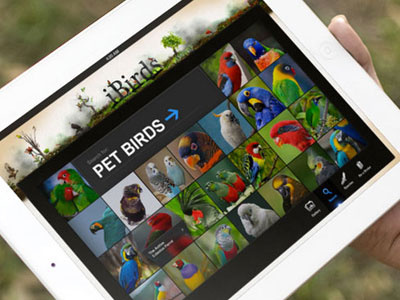 iBirds bird watching birds concept ipad app