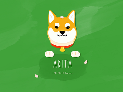 Akita akita cute dog illustration