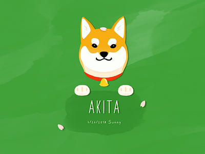 Akita