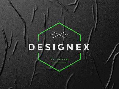 Designx logo