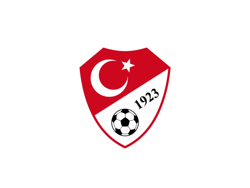 Turkey National Football Logo Animation 2020 2d animation euro football gif graphic motion logo