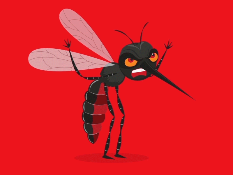 Cranky Mosquito animation character dengue koica mosquito prevention redcross vector vietnam