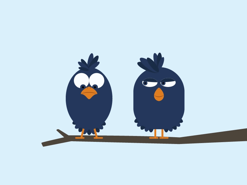 Kill Two Birds With One Stone by Quang Nguyen on Dribbble