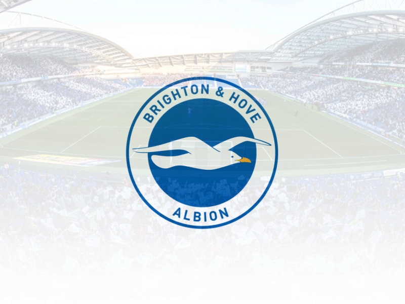 Хоув альбион. Альбион лого. брайтон логотип. логотип брайтон хоув. brighton and hove albion logo.