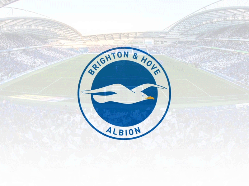 Brighton & Hove Albion Logo Animation - Premier League 2018/2019 animation brightonhovealbion gif logo premierleague seagull