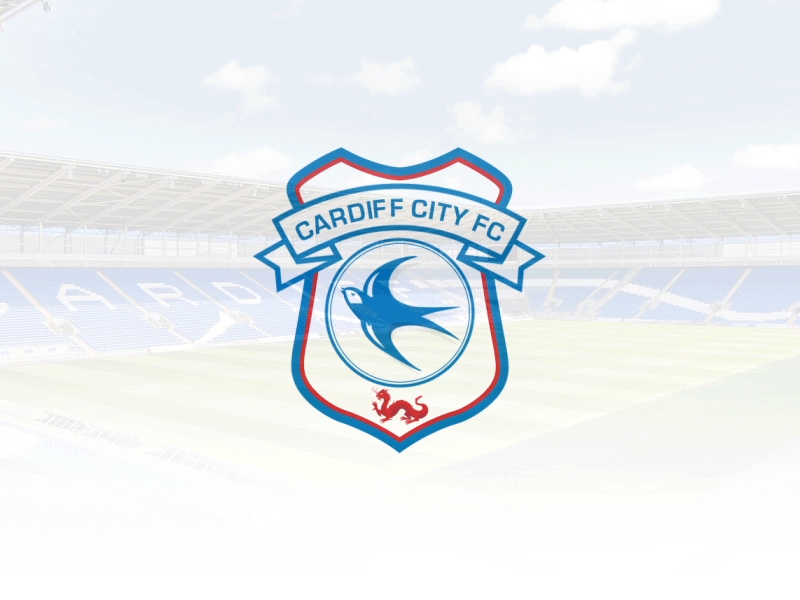 Cardiff City Logo Animation - Premier League 2018/2019 animaiton cardiff city gif logo premierleague