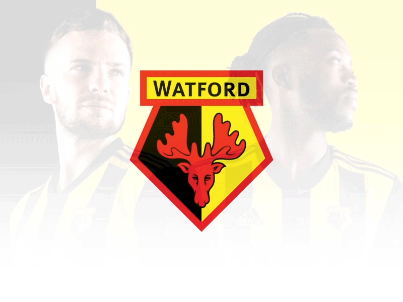 Watford Logo Animation Premier League 2018/2019 by Quang Nguyen on
