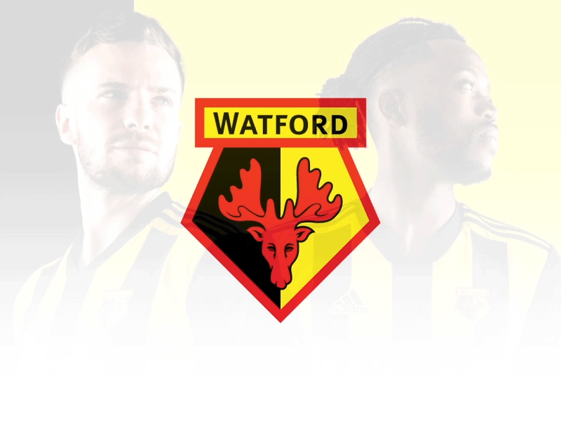 Watford Logo Animation - Premier League 2018/2019 2d animation football gif premierleague vector watford