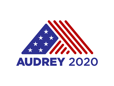 Audrey Denney 2020 Logo branding identity identity design political campaign