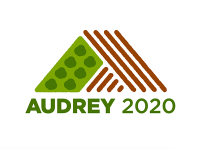 Audrey Denney 2020 Logo branding logo political campaign