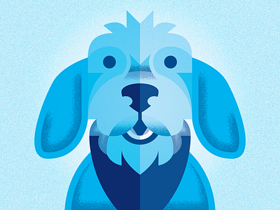 Blue Dog blue dog pup