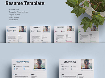 Resume Template download fonts free freebies icons market me premium resources ui uikit wireframe
