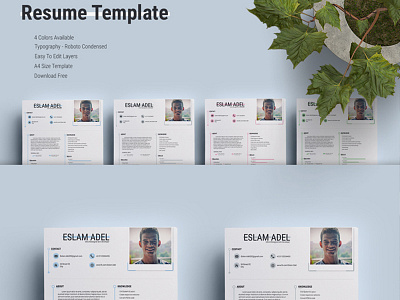 Resume Template