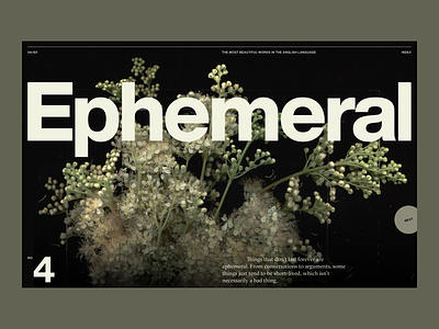 Beautiful Words #4 | Desktop ephemeral flower grid gt sectra helvetica now layout plant type typography ui web design word words