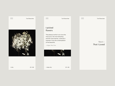 Toril Brancher — Project | Mobile branding design flowers graphik light minimalist photography plants portfolio ui ux