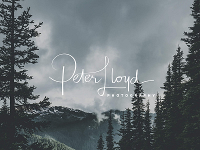 Peter Lloyd Photography Branding branding business card photography