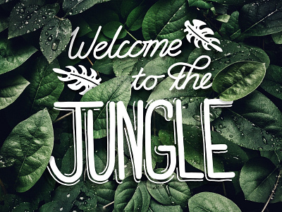 Welcome to the Jungle 3d art branding color colors colour colourpallet design digital drawing graphic hand drawn type illustration light typography