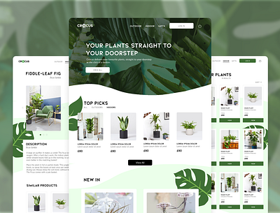 Crocus - Plant eCommerce 2d branding centre commerce crocus design ecommerce garden graphic design illustration logo plants ui ux web web design