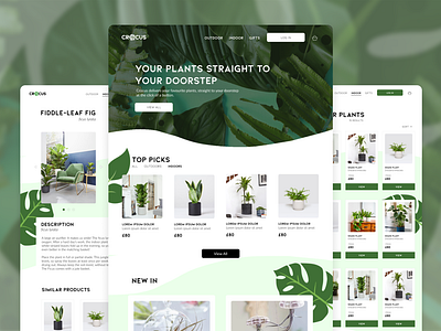 Crocus - Plant eCommerce