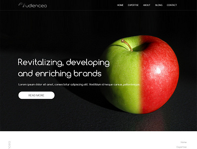 Web Desgin Udiencea app branding design icon logo typography ui ux vector web