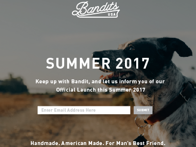 Bandits Salvaged goods art art direction brand branding create design graphic design launch ui web design