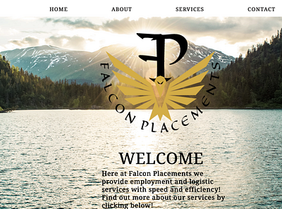 Staffing agency website - falconplacements.com branding design web website