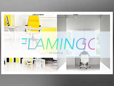Flamingo co working corporate office typography webdesign