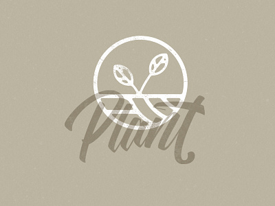 Plant calligraphy design graphic hand lettering illustration ligature logo sketch type type design typography vector