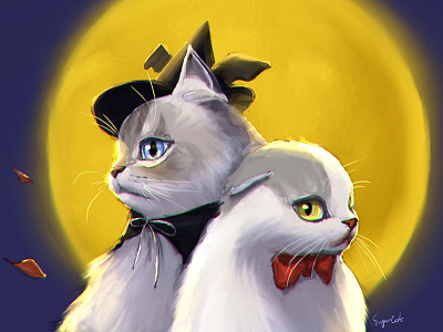 Shasha & Duna's Halloween cat halloween