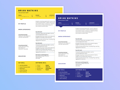 Professional Resume branding career curriculum vitae design illustration job logo print resume