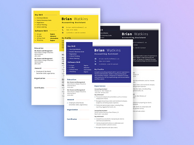 Professional Resume branding career curriculum vitae design illustration job logo print resume ui