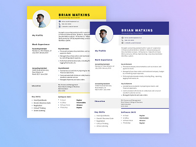 Professional Resume