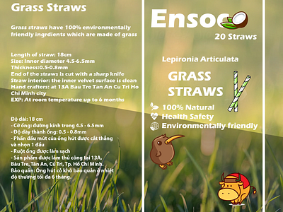 Grass straws packaging graphic design packaging