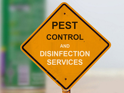 Pest Control Companies Dubai pest control companies dubai