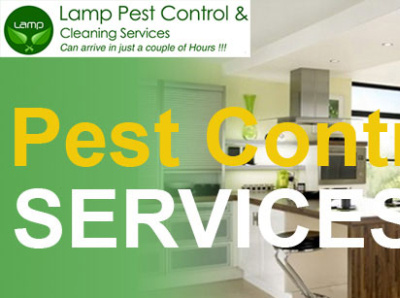 Recognize the Value of Pest Control and Disinfection Services