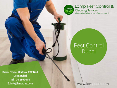 How to get effective rid of mice naturally in your house pest control company dubai pest control services dubai