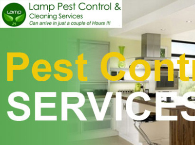 Effective eliminate termites and protect your valuable furniture pest control company dubai