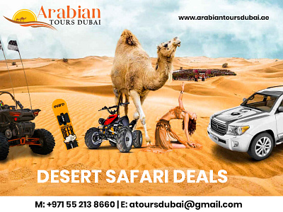 Desert safari prices