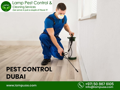 Pest control companies Dubai pest control company dubai