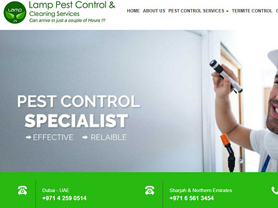 Human assets’ foe termites and their life cycle pest control companies dubai