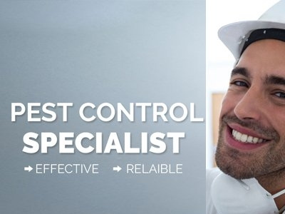 Make your house pest free zone during summer pest control pest control company dubai pest control services dubai