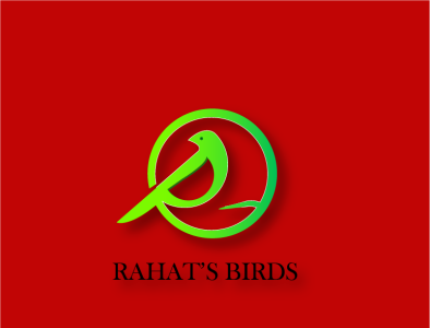 green bird 3d logo birds logo graphic design illustration logo